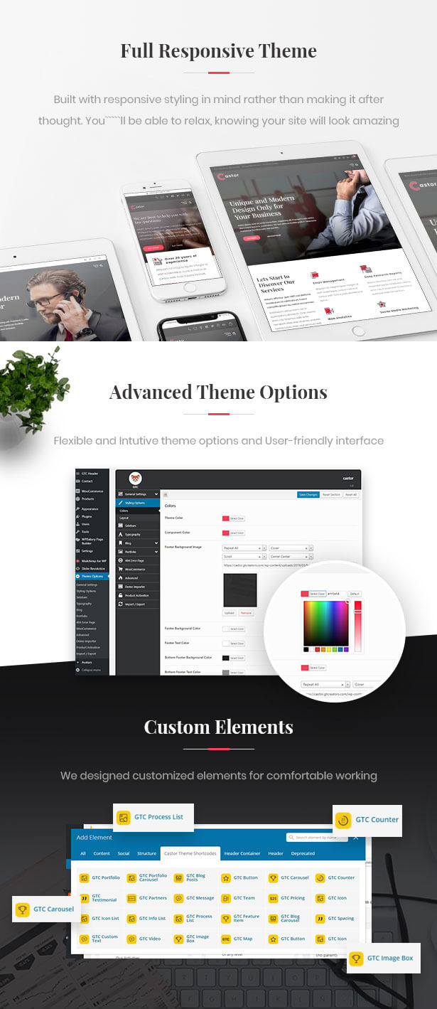 Castor - Business Consulting WordPress Theme - 3