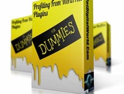 Profiting From WordPress Plugins For Dummies