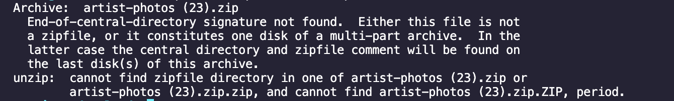 When trying to open zip via command line