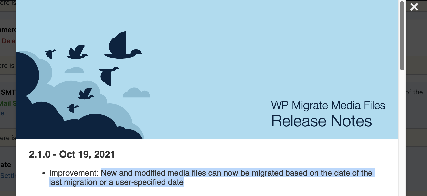 WP Migrate Db Pro details view